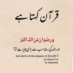 Hammad Ali - Facebook