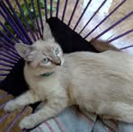 Natasha Salgado - Facebook