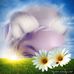 Natasha Sears - Facebook