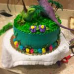 Natasha Shields - @shields4159 - Instagram