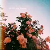 Natasha solis - @natassha_.solis - TikTok