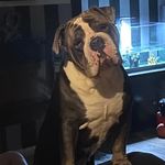 Natasha Stephenson - @natasha_stephenson88 - Instagram