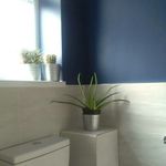 natasha stephenson - @bigideassmallhome - Instagram
