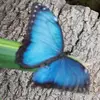 Natasha Talbott272 - @natashatalbott2 - TikTok