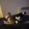 natashatempleton7 - @natashatempleton7 - TikTok