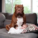 Natasha Thornton - Facebook