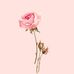Natasha Torrence - Facebook