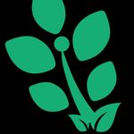 Natasha Tucker - @happy_hippie_gardening - Instagram