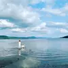 Natasha Tutt MSW RSW - @natasha.tutt.msw - TikTok