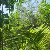 Natasha Velez - @foodmastertosh - TikTok