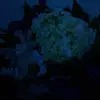 Natashavelezzzz - @natashavelezzzz - TikTok