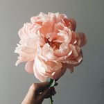Natasha Welsh - @septembersong_thelabel - Instagram