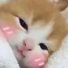 natashaelainewick - @natashaelainewick - TikTok