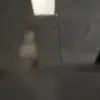 Natasha Winston - @natasha.winston19 - TikTok