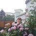 Наташа Юшта - Facebook