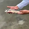Nate Anthony - @nate.anthony87 - TikTok