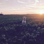 Nate Baumann - @baumann.nate - Instagram