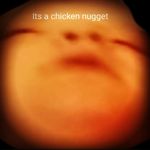 Nate Beck - @natebeck12345 - Instagram
