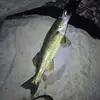 Nate Bennett - @nate.bennett4 - TikTok