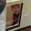 NateIsBest - @nateisbest - TikTok