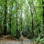 Nate Campbell - @nathancampbell.14 - Instagram