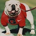 Nate Caraway - @carawaynate - Instagram