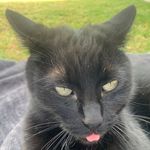 Nate Castillo - @natezxdead - Instagram
