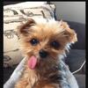 Nate_Dean_242 - @nate_dean_242 - TikTok