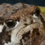 Nate Dorr - @nate9499 - Instagram