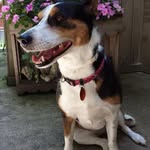 Nate Eberly - @nateeberly_ - Instagram