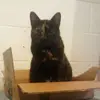 nateeckerle - @nateeckerle - TikTok