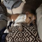 Nate Ewing - @njewing12 - Instagram