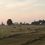 Nate Farmer - @nate.farmer.35175 - Instagram