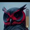 nateferguson5952 - @nateferguson5952 - TikTok