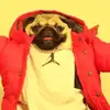 nateferrone120 - @nateferrone.2 - TikTok