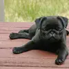 @nateferrone2 - TikTok