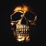 nate fleming - @paradigm_shiftin - Instagram