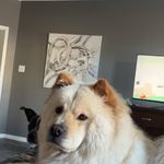 Nate Fogleman - @natefogleman - Instagram