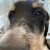 nfoles - @natefoley8 - TikTok