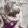 Nate Fraser - @nate.fraser - TikTok