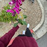 Nathan Fuller - @nate__fuller - Instagram