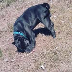 Nathanial galloway - @nate_galloway - Instagram