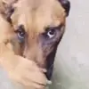 Nathan Garrett - @nathan.garrett69 - TikTok