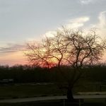 Nate goss - @nategoss12 - Instagram