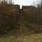 Nate Goss - @nateg6770 - Instagram