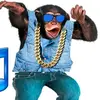 Nate Grammatico - @nategrammatico - TikTok