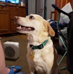 Nate Gregory - Facebook