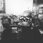 nate Guzman - @nwgyzman - Instagram