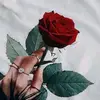 nate - @nate_guzman3 - TikTok