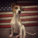 Nate Haley - Facebook